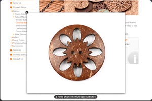 Portfolio Image
