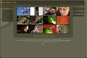 Portfolio Image