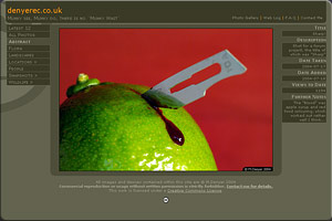 Portfolio Image