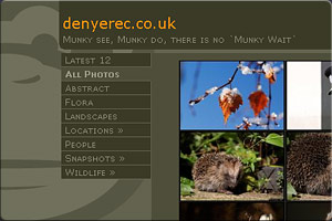 Portfolio Image