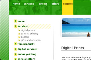 Portfolio Image